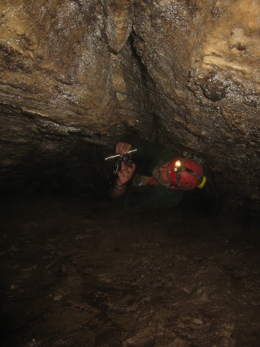 2 dogs cave ontario