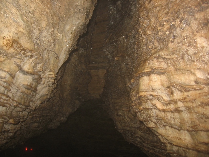 2 dog cave