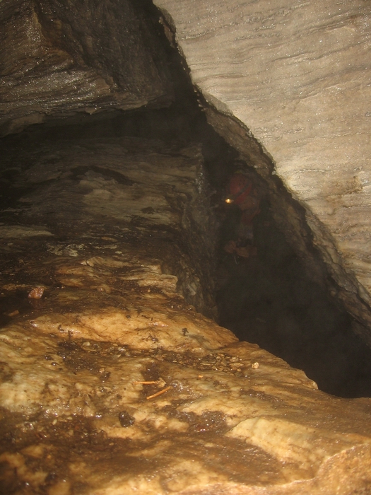2 dog cave