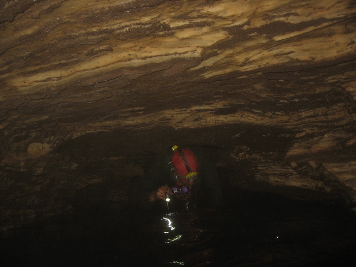 2 dogs cave ontario