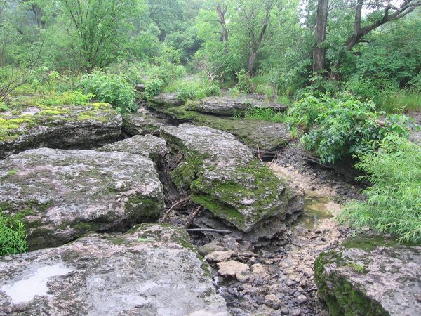 Bedrock Ontario Erie