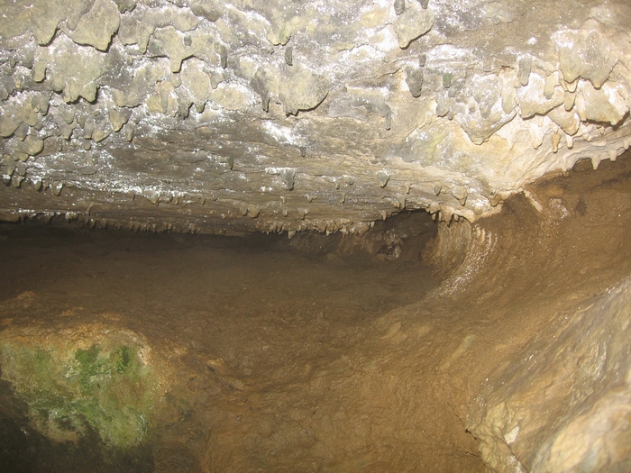 brown cow cave