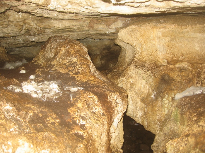 brown cow cave ontario