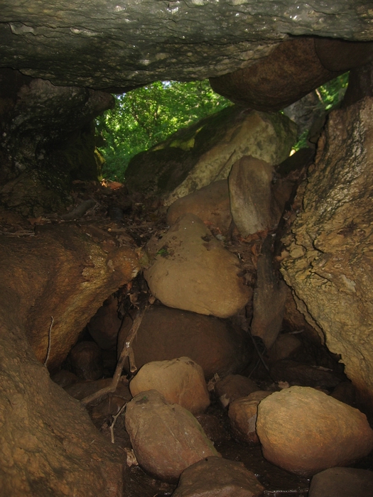 brown cow cave