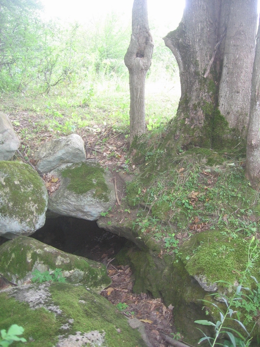 brown cow cave