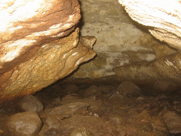 brown cow cave