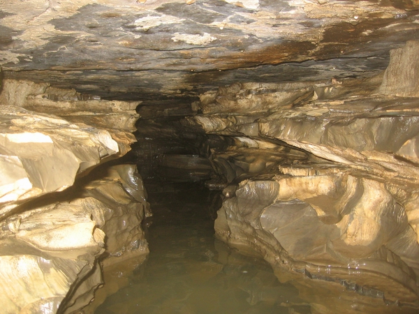 dead mouse cave ontario