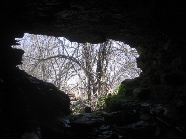 dead mouse cave in ontario