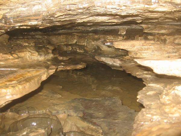 dead mouse cave ontario