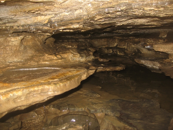 dead mouse cave ontario