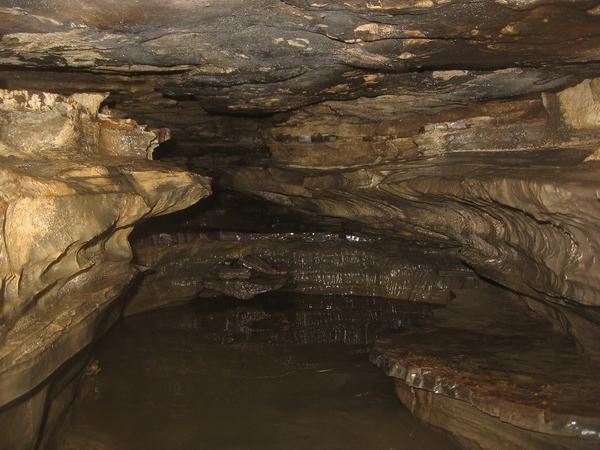 dead mouse cave ontario