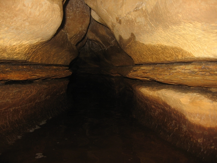 dewdneys cave