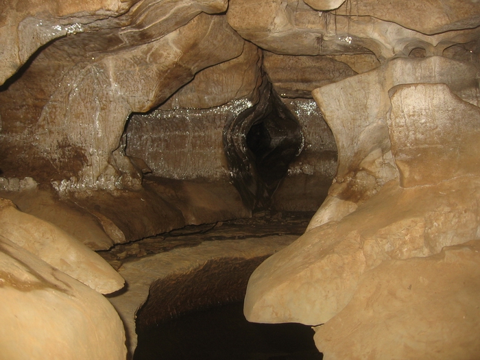 dewdneys cave