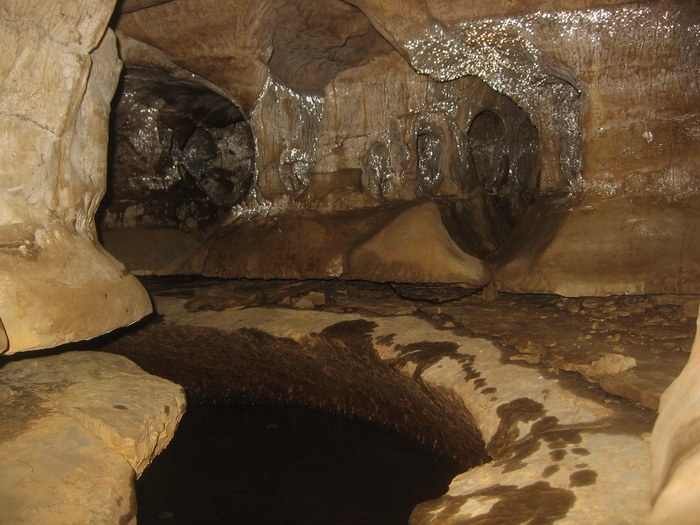 dewdneys cave