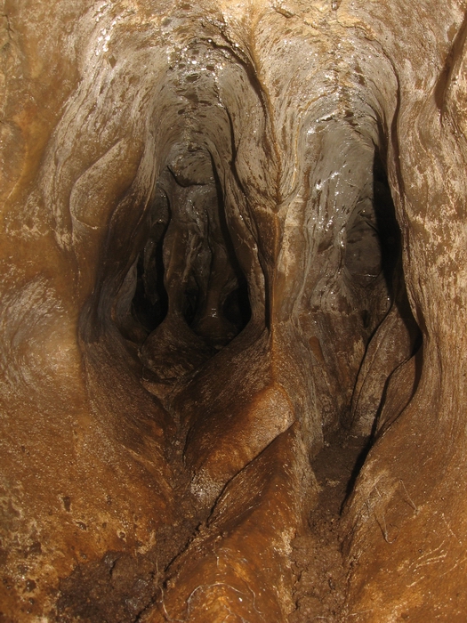 dewdneys cave