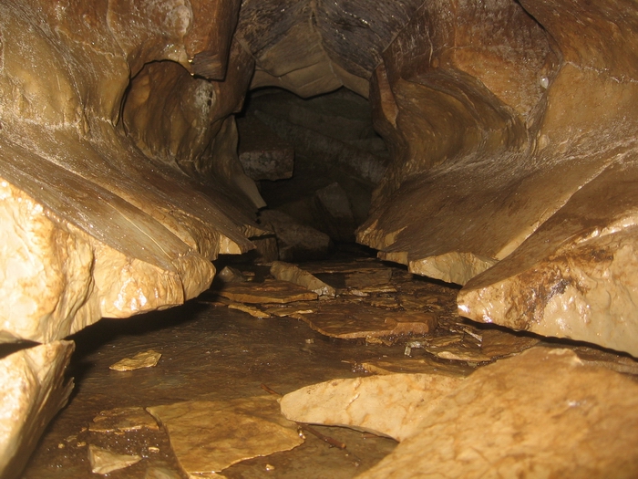 dewdneys cave ontario