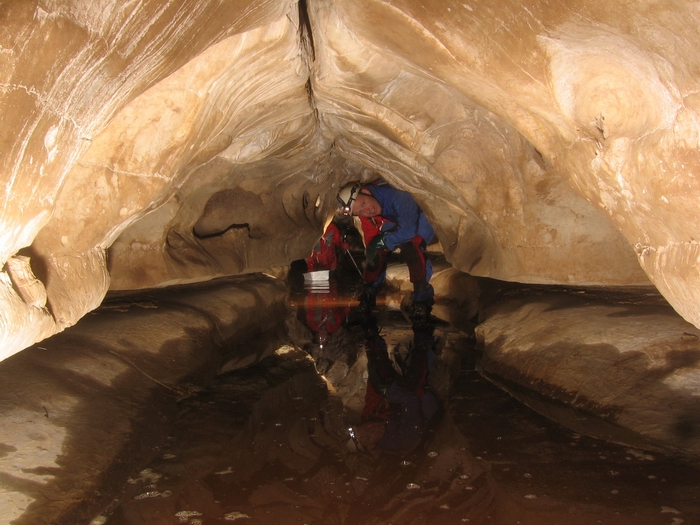 dewdneys cave