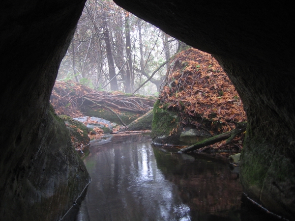 Entrance point of Mervyn Cave in Ontario Canada.