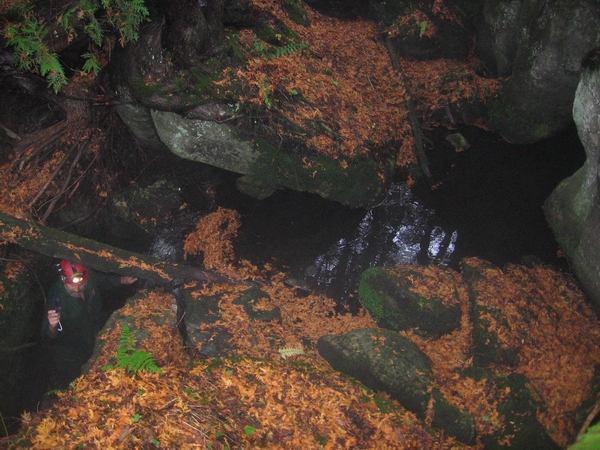 Upper and lower Mervyn Cave. 