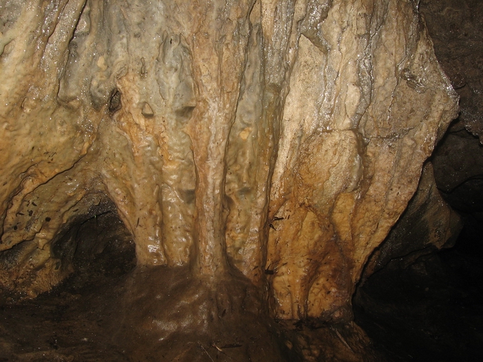 muddy beaver cave