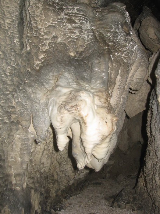 muddy beaver cave