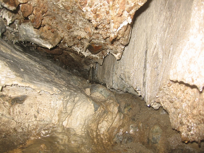 muddy beaver cave