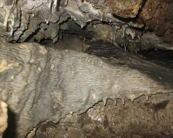 muddy beaver cave