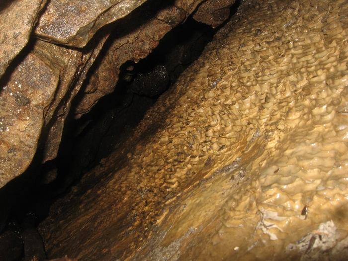 muddy beaver cave