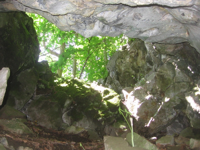 muddy beaver cave