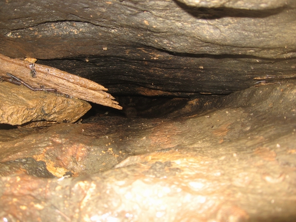 Ontario Cave Shaft