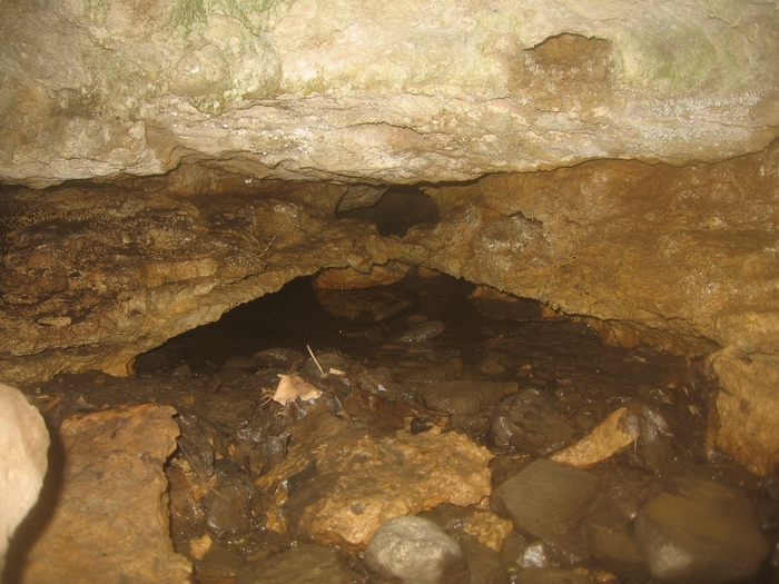 porillium cave ontario.