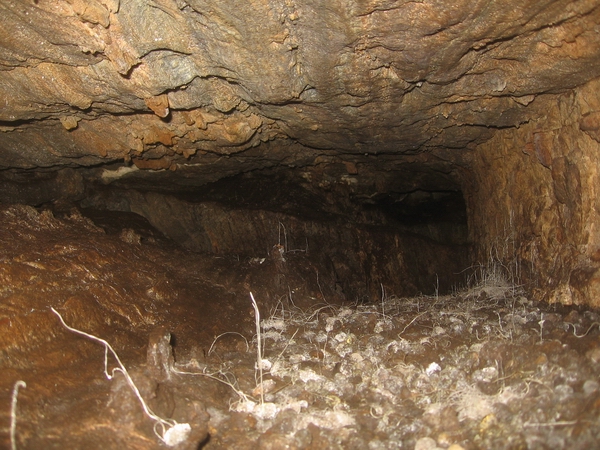 twin trickles cave