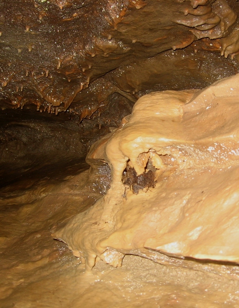 Wasteland Waterway Cave Ontario