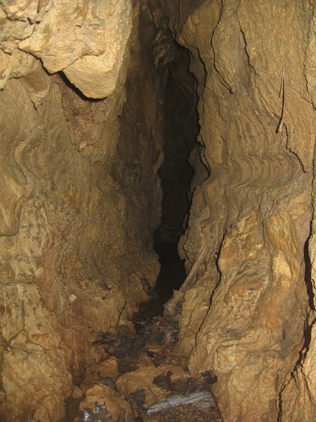 Wet Feet Cave main passage.