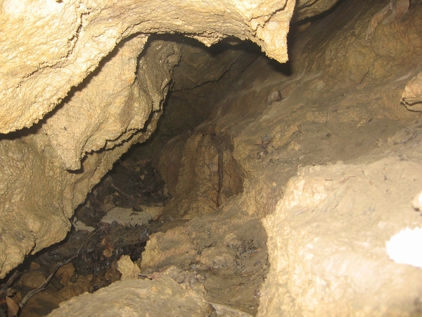 Wet Feet Cave Bruce Peninsula.