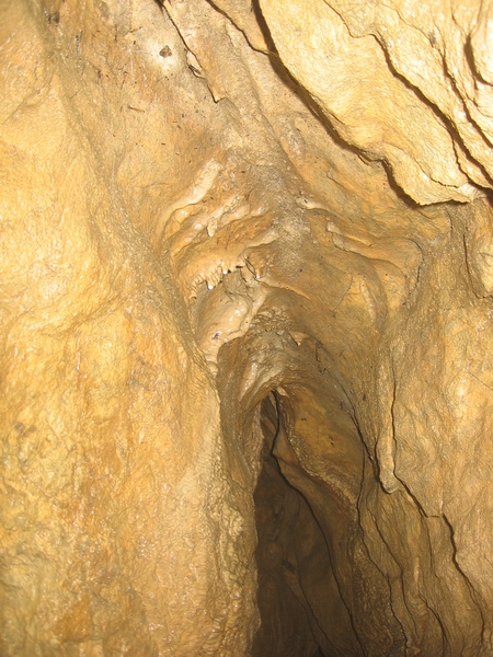 Small formations in Wet Feet Cave.